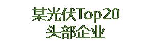 某光伏Top20头部企业