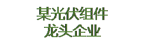某光伏组件龙头企业